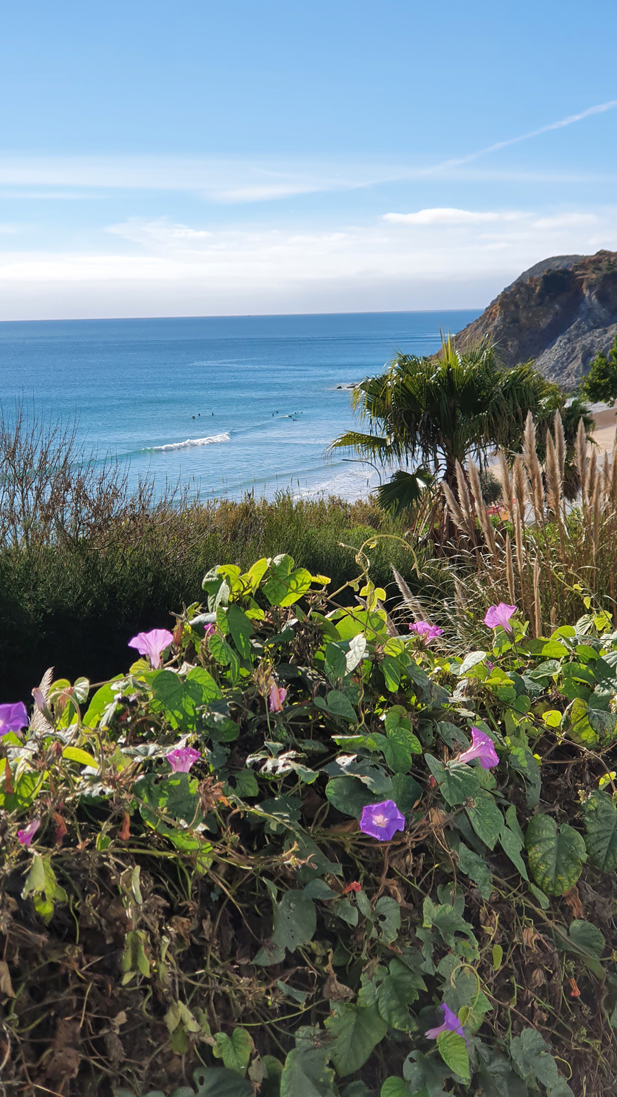 Burgau